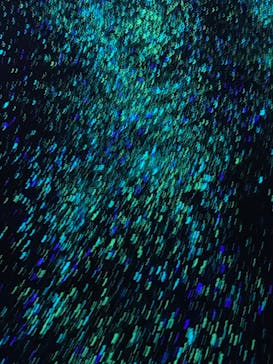 梅田スカイビル・空中庭園展望台に投稿された画像（2023/11/19）