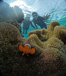 宮古島 ADVENTURE PiPi（ミヤコジマ アドベンチャー ピピ）に投稿された画像（2023/11/20）