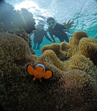 宮古島 ADVENTURE PiPi（ミヤコジマ アドベンチャー ピピ）に投稿された画像（2023/11/19）