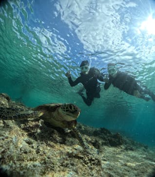 宮古島 ADVENTURE PiPi（ミヤコジマ アドベンチャー ピピ）に投稿された画像（2023/11/19）