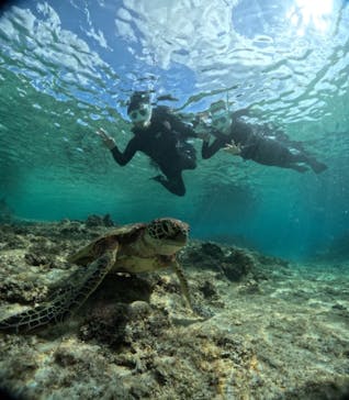 宮古島 ADVENTURE PiPi（ミヤコジマ アドベンチャー ピピ）に投稿された画像（2023/11/19）