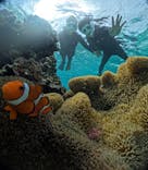 宮古島 ADVENTURE PiPi（ミヤコジマ アドベンチャー ピピ）に投稿された画像（2023/11/20）