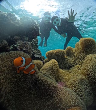 宮古島 ADVENTURE PiPi（ミヤコジマ アドベンチャー ピピ）に投稿された画像（2023/11/19）