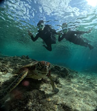 宮古島 ADVENTURE PiPi（ミヤコジマ アドベンチャー ピピ）に投稿された画像（2023/11/19）