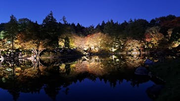 国営昭和記念公園 秋の夜散歩に投稿された画像（2023/11/19）