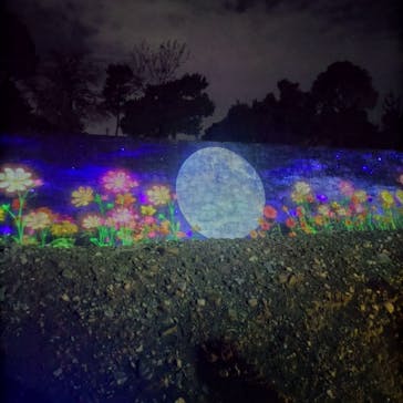 NAKED×京都水族館に投稿された画像（2023/11/19）