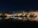 国営昭和記念公園 秋の夜散歩に投稿された画像（2023/11/20）