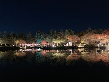 国営昭和記念公園 秋の夜散歩に投稿された画像（2023/11/19）