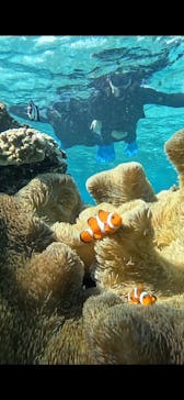 宮古島 ADVENTURE PiPi（ミヤコジマ アドベンチャー ピピ）に投稿された画像（2023/11/19）