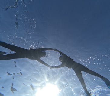 宮古島 ADVENTURE PiPi（ミヤコジマ アドベンチャー ピピ）に投稿された画像（2023/11/19）