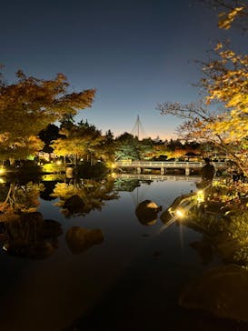 国営昭和記念公園 秋の夜散歩に投稿された画像（2023/11/19）