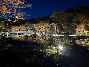 国営昭和記念公園 秋の夜散歩に投稿された画像（2023/11/19）