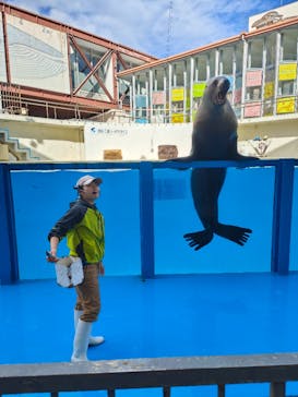 伊豆・三津シーパラダイスに投稿された画像（2023/11/19）