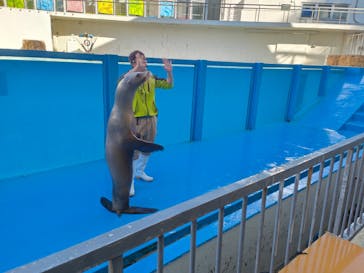 伊豆・三津シーパラダイスに投稿された画像（2023/11/19）