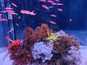 伊豆・三津シーパラダイスに投稿された画像（2023/11/19）