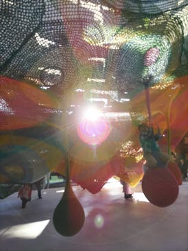 彫刻の森美術館に投稿された画像（2023/11/19）