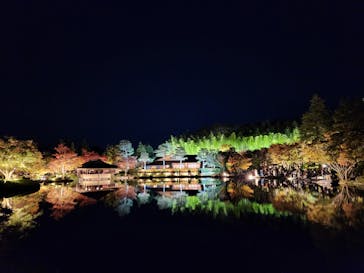 国営昭和記念公園 秋の夜散歩に投稿された画像（2023/11/19）