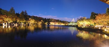 国営昭和記念公園 秋の夜散歩に投稿された画像（2023/11/19）
