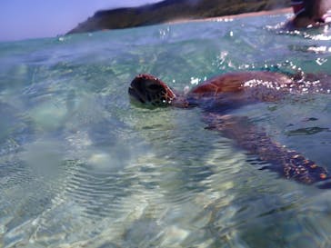 nico 宮古島に投稿された画像（2023/11/19）