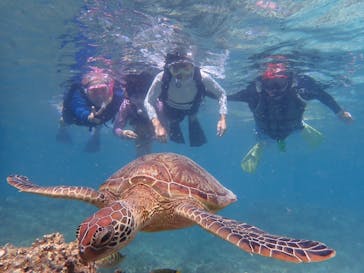 nico 宮古島に投稿された画像（2023/11/19）