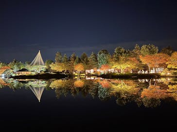 国営昭和記念公園 秋の夜散歩に投稿された画像（2023/11/19）
