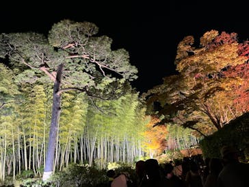 国営昭和記念公園 秋の夜散歩に投稿された画像（2023/11/19）