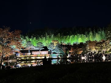 国営昭和記念公園 秋の夜散歩に投稿された画像（2023/11/19）