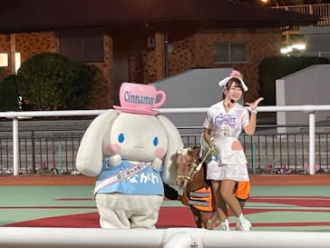 東京メガイルミに投稿された画像（2023/11/19）