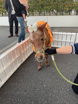 東京メガイルミに投稿された画像（2023/11/19）