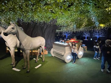 東京メガイルミに投稿された画像（2023/11/19）