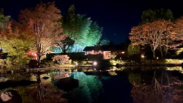 国営昭和記念公園 秋の夜散歩に投稿された画像（2023/11/19）