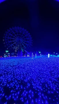 東武動物公園に投稿された画像（2023/11/19）