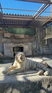 東武動物公園に投稿された画像（2023/11/19）