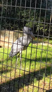 千葉市動物公園に投稿された画像（2023/11/20）