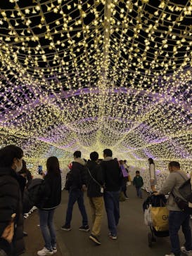 東京メガイルミに投稿された画像（2023/11/20）