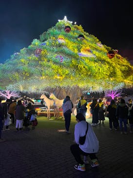 東京メガイルミに投稿された画像（2023/11/20）