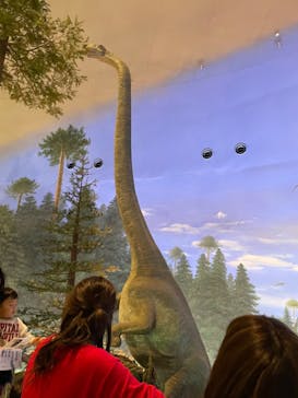 福井県立恐竜博物館に投稿された画像（2023/11/20）