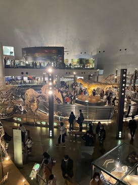福井県立恐竜博物館に投稿された画像（2023/11/20）