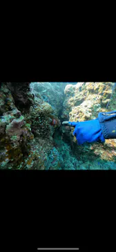 武藤潜水に投稿された画像（2023/11/20）