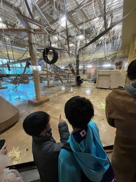 名古屋市東山動植物園に投稿された画像（2023/11/20）