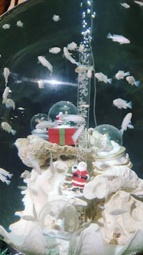 NARA IKIMONO MUSEUMに投稿された画像（2023/11/20）