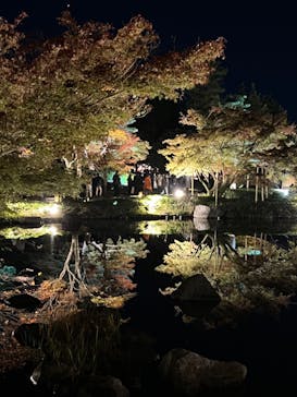 国営昭和記念公園 秋の夜散歩に投稿された画像（2023/11/20）