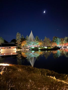 国営昭和記念公園 秋の夜散歩に投稿された画像（2023/11/20）