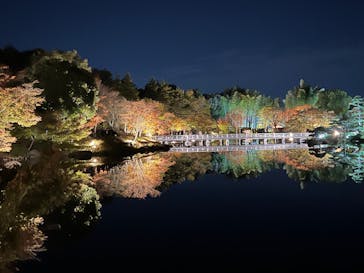 国営昭和記念公園 秋の夜散歩に投稿された画像（2023/11/20）