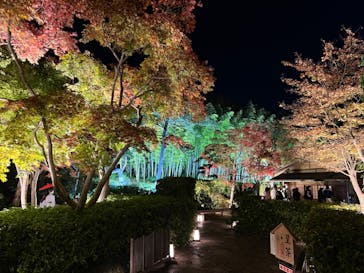 国営昭和記念公園 秋の夜散歩に投稿された画像（2023/11/20）