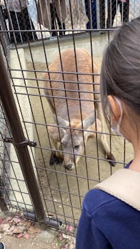 名古屋市東山動植物園に投稿された画像（2023/11/20）