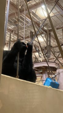 名古屋市東山動植物園に投稿された画像（2023/11/20）