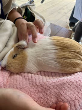 ネオパークオキナワに投稿された画像（2023/11/20）