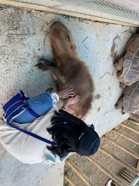 ネオパークオキナワに投稿された画像（2023/11/20）