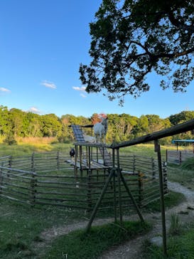 ネオパークオキナワに投稿された画像（2023/11/20）